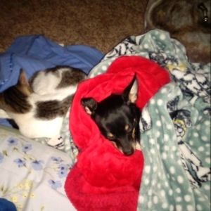 Meet your Posher, Michelle